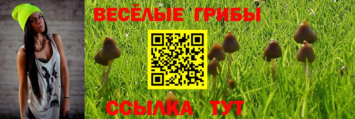 Ливны  Галлюциногенные грибы Psilocybe  Вход с VPN  Псилоцибиновые грибы Magic Shrooms 